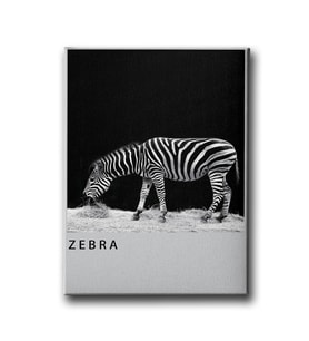Zebra Canvas Tablo MİND776