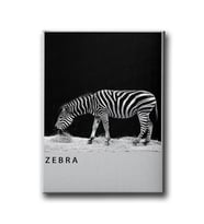 Zebra Canvas Tablo MİND776