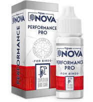 Nova Performance Kızıştırıcı 30 ml
