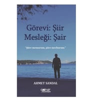 Görevi Şiir Mesleği Şair