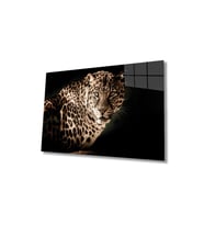 Miyrem Glasses Collection -A1^#  Leopar Hayvan Portresi Cam TabloCam Tablo (Çok Renkli)