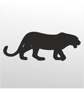 Folyo Sticker Çita 70cm Uzunluk (Karışık)