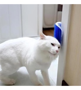  Duvara Monte Kaşıma Aleti Kedi Tüyü Kaşıma Tarama Aparatı