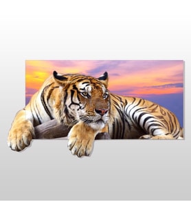 3D Kaplan Kanvas Tablo 120x60cm (Karışık)