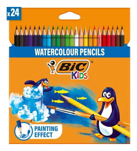 BİC AQUACOULEUR KURU-SULU BOYA KALEMİ TAM BOY 24'LÜ 8575633