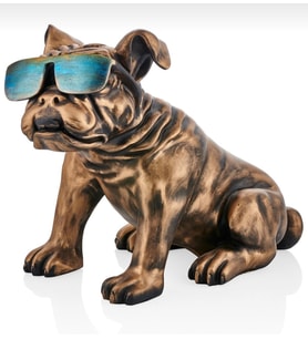 GÖZLÜKLÜ BULLDOG