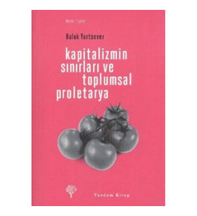 Kapitalizmin Sınırları ve Toplumsal Proletarya