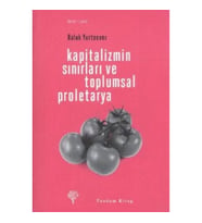 Kapitalizmin Sınırları ve Toplumsal Proletarya