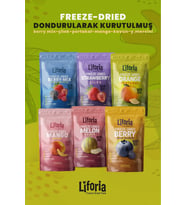 6’lı Dondurulmuş Meyve - Sağlıklı Atıştırmalık - Mango Berry Mix Portakal Yaban Mersini Çilek Kavun