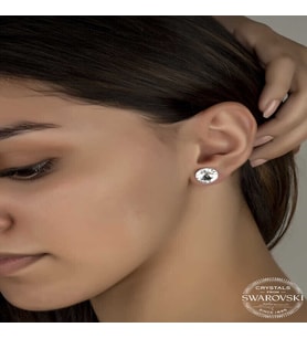 S-warovski Crystal Taşlı Gümüş Çivili Kadın Küpe