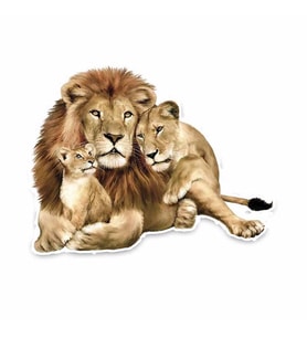 Aslan Ailesi Araba Sticker Yapıştrması 18CM
