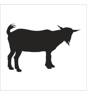 KEÇİ  FOLYO STİCKER 130cm Uzunluk (Karışık)