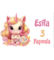 Pembe Unicorn Temalı Doğum Günü Afişi -4 35X50 cm