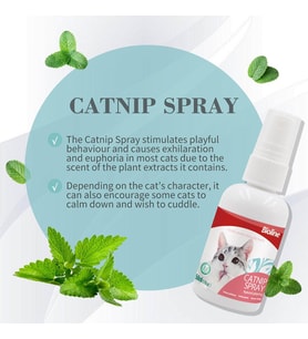 Catnip Sprey 50 Ml