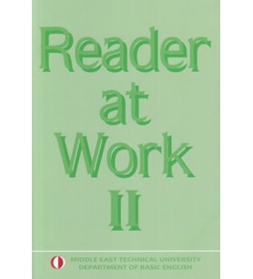 Reader At Work 2
