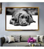 Altın Çerçeveli dekoratif tablo l480 (Gold)