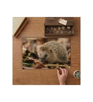 Seviml Kirpi Tasarımı 240 parça Ahşap Puzzle Ahşap Kutuda MP08303