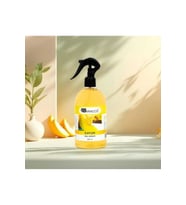 Oda Kokusu Spreyi 500 ml Kavun