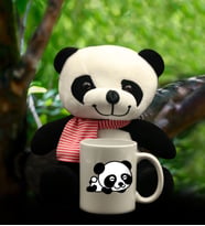 Panda Baskılı Kupa& Peluş Panda Hediye Seti