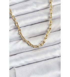 Gold Renk Pirinç Tifani Model Kadın Kolye TJ-BKO10819