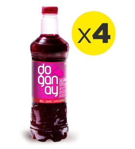 Doğanay Şalgam Suyu 1 lt Pet Acılı x 4 Adet