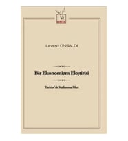 Bir Ekonomizm Eleştirisi