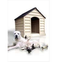Dev Büyük Yüksek Geniş 100x95cm Isı Yalıtımlı Havalandırmalı Köpek Kulübesi Evi Yuvası Kümesi Kafesi