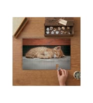 Uyuyan Sevimli Sarı Kedicik Tasarımı 240 parça Ahşap Puzzle Ahşap Kutuda MP04681