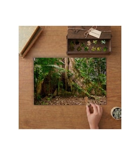 Amazon Ormanı - Yaşlı Ağaçlar - Doğa Manzarası Tasarımı 240 parça Ahşap Puzzle Ahşap Kutuda MP05974