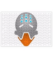Zenyatta Puzzle 240 Parça Yapboz