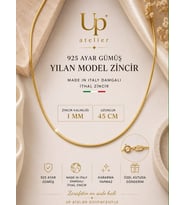 Up Atelier 925 Ayar Gümüş İthal Yılan Model Gold Zincir