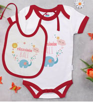 BK Kids Tiizesinin Balı Tasarımlı Kırmızı Bebek Body Zıbın ve Mama Önlüğü Hediye Seti-1
