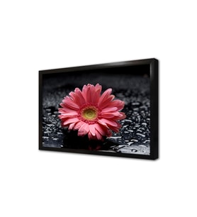 Spa Taşları ve Orkide Çerçeveli Mdf Tablo
