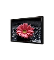 Spa Taşları ve Orkide Çerçeveli Mdf Tablo