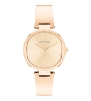 Calvin Klein CK25200308