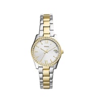 Fossil ES4319