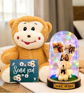 Kişiye Özel 3 Fotoğraflı Renkli LED Işıklı Fanus(peluş ayıcıklı) ve Peluş Maymun Sevgiliye Hediye Kadına Hediye