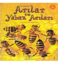 İlk Okuma - Arılar ve Yaban Arıları