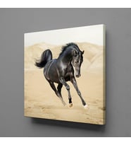 KOŞAN SİYAH AT KANVAS TABLO 170x170cm