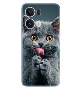Oppo Reno 13F Kılıf Boutique Baskılı Resimli Komik Kedi Pcode -008