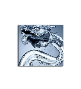 DBSanatevi Su Ejderhası Tablo 35 X 35 Cm