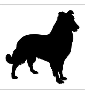 KÖPEK FOLYO STİCKER 130cm Uzunluk (Karışık)