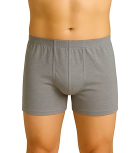 Mulvxbrf Brf02 Gri Mı 6810 Arjantin Erkek Boxer (Mulvix)