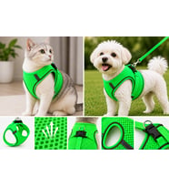 Nefes Alan Kumaş Air Mesh Kedi Köpek Göğüs Tasması X Small 32x36 cm Neon Yeşil