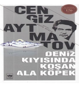 Deniz Kıyısında Koşan Ala Köpek
