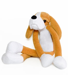 Pababo Minoki Köpek 50 cm