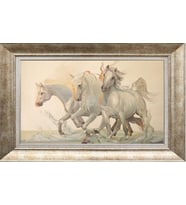 GÜMÜŞ ÇERÇEVELİ TABLO N589