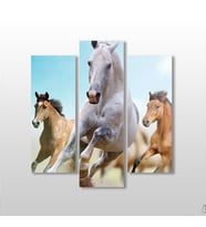 Koşan Atlar Kanvas Tablo 129x140cm (Karışık)