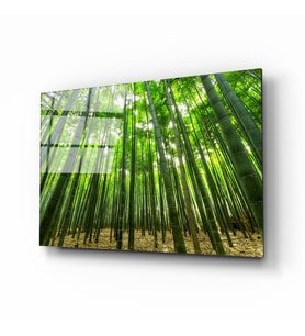 Bambu Ağaçları Cam Tablo