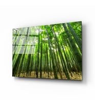 Bambu Ağaçları Cam Tablo
